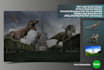 do photo manipulation creatively