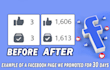 promote your facebook page professionally and organically
