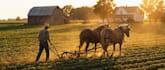 craft exceptional ai image, ai art, ai photos, ai photoshoot, ai illustration