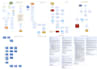 be your hubspot CRM automation and workflow expert