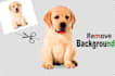 do white background very fast delivery