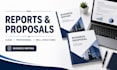 write professional business documents and reports
