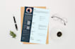do professional resume design and CV design