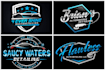 do luxury 2d,3d auto detailing and car wash logo in 24 hours