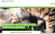 design pro shopify website or custom online store setup