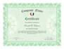 design professional certificates with guilloche security patterns