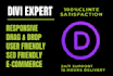 be your expert for divi website, divi theme or builder