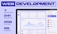 do custom web app, saas, website, software development as full stack developer