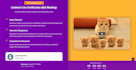 clone, migrate gohighlevel website, ghl landing page, systeme io funnel, kajabi
