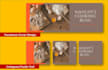 created awesome facebook cover design