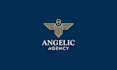 make professional logo creation for business or company