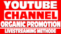 do organic youtube channel and video promotion with target