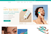 build or design business wordpress ecommerce website online store