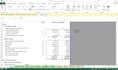 prepare financial statements, ratios analysis, and financial reviews