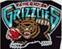 digitize any cap embroidery within 1 day