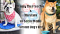 create eyecatching thumbnail youtube thumbnail