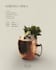 design instagram facebook youtube linkedin ad