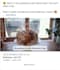 create facebook video ad copy