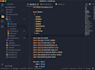 setup any ide including vs code, intellij, claude, codex