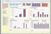 create professional excel dashboard,pivot tables and charts