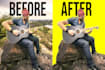 bulk remove background or objects from photos in 24 hours