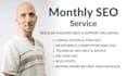 do your monthly SEO and optimise your website