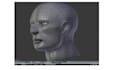 do 3d character modeling and animations on blender and  maya