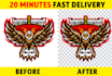 vectorise,revamp,redo,recreate,resize logo, image,make transparent png