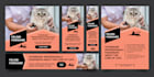 design your social media banners ads and posts
