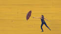 animate your still image and artwork