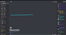do the best and custom discord server