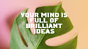 create beautifull qoutes design