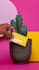 design your business cards ready for print