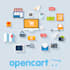 setup up a web store for your business