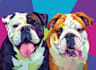draw pet portrait pop art colorful from photo