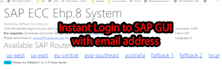 provide instant access to sap erp system