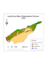 image classification, digitization, georeferencing