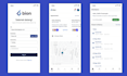 develop a professional flutter mobile app for android and ios