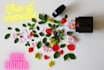 help you create your personal organic and vegan cosmetic formulation