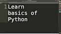 teach basics of python programming