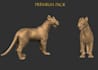 do sculpting and modeling for 3d print