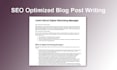 write SEO optimized unique articles, blog posts or product descriptions