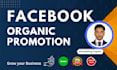 be your expert facebook manager and organic promoter
