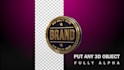 create 3d spinning logo video