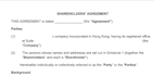 draft your shareholders agreement for you