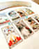do a psychic cat reading in 24 hours, cat tarot reading in 24 hours