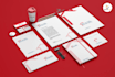 design premium identity logo and brand style guidelines