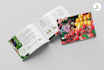 design magazine, catalogue, price list and technical sheet