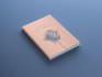 design an eccentric book cover