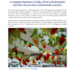create SEO gardening, horticulture and hydroponics blogs